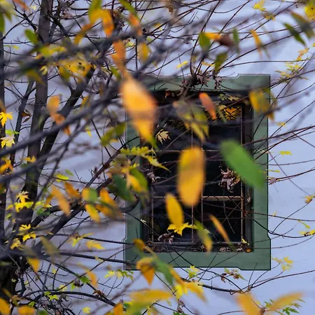 Gaestehaus Goldener Stern リエンツ