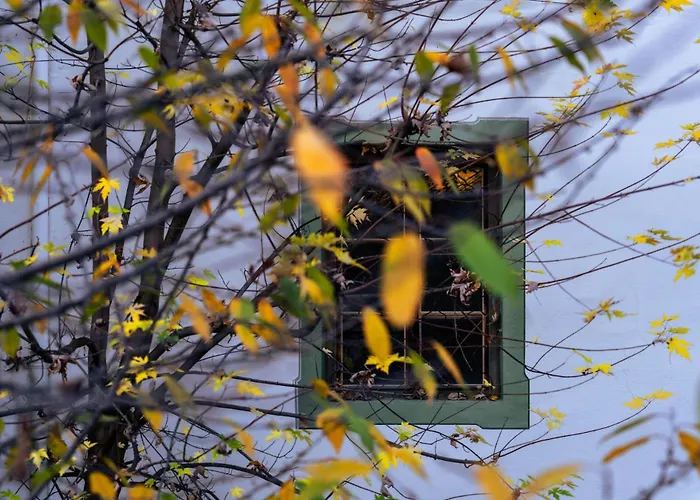 Gaestehaus Goldener Stern 利恩茨