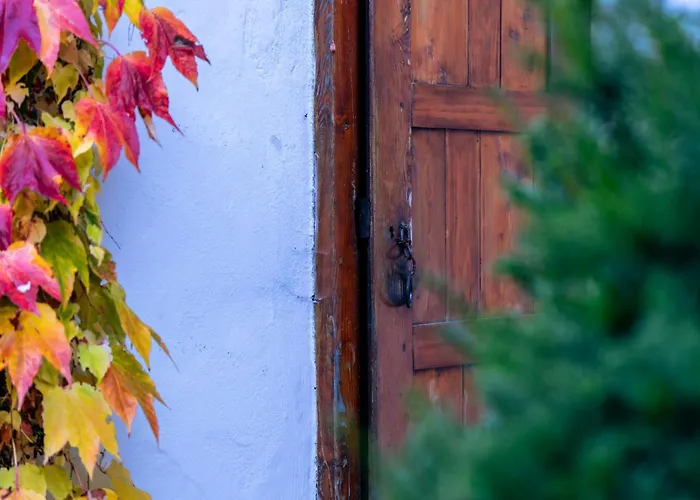 宾馆 Gaestehaus Goldener Stern *