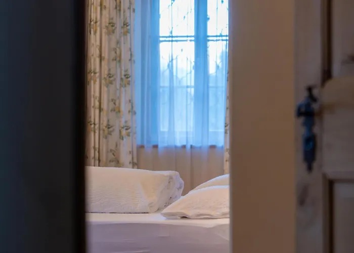 宾馆 Gaestehaus Goldener Stern 利恩茨