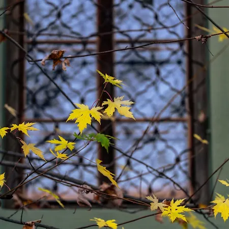 Gaestehaus Goldener Stern Han/Misafirhane Lienz